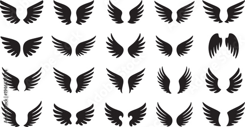 Collection of various bird wing silhouettes isolated on transparent background