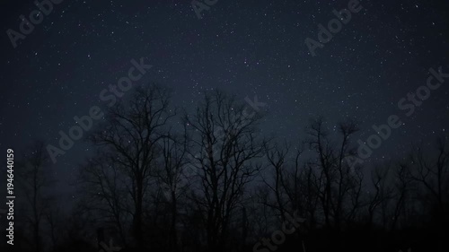 Starry night sky moving above winter trees