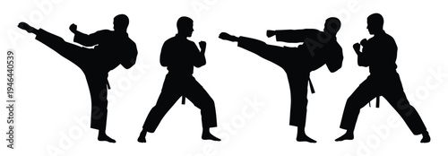Silhouettes of martial artists performing various kicking and punching techniques