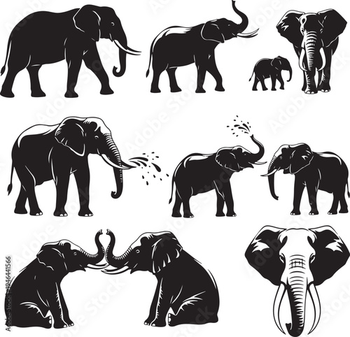 Set of 9 black elephant icons vector