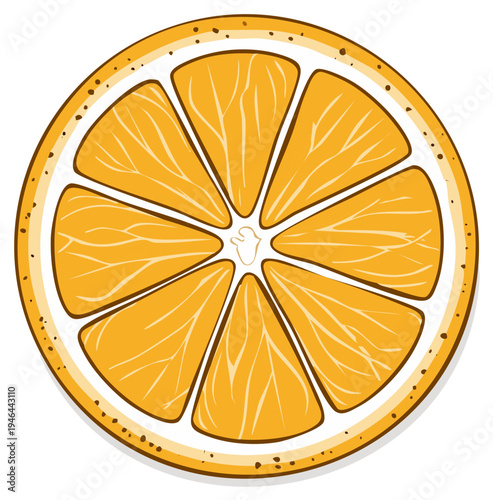 Orange Slice Graphic Illustration - Citrus Fruit Section, Healthy Food Design Element