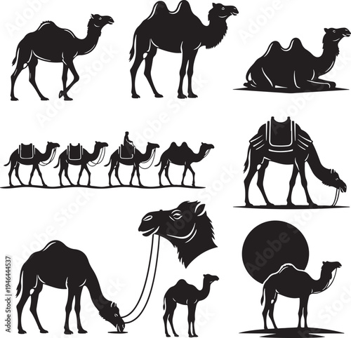 Set of 9 black camel icons vector