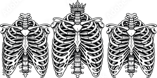 Human rib cage, anatomical illustration, crown symbol, skeletal design, bones artwork, medical study, anatomy vector, tattoo concept, artistic silhouette, flavector