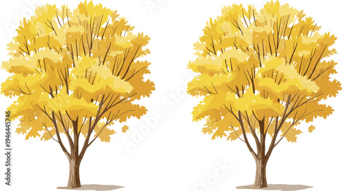 Pair of stylized yellow foliage trees isolated on white background, detailed vector illustration of decorative autumn trees for landscape design, nature concept and botanical graphics