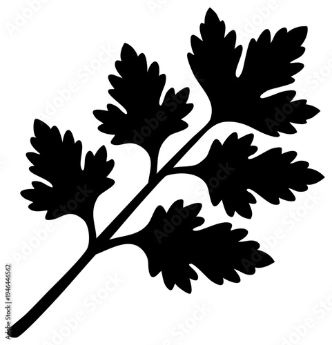 Black silhouette of a parsley sprig with detailed leaves