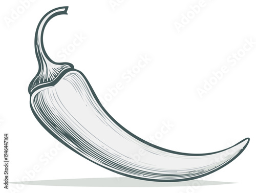 Detailed drawing of a chili pepper. Vector illustration for food design, spice themes, and culinary visuals.