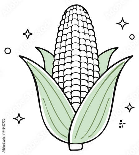 Fresh ear of corn with leaves and sparkling stars decoration illustration