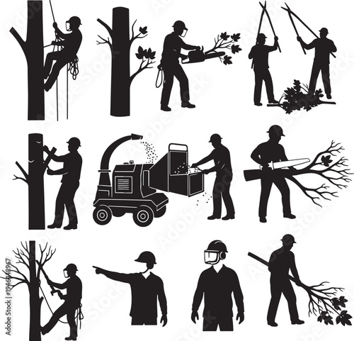 Set of 13 tree care and landscaping icons vector