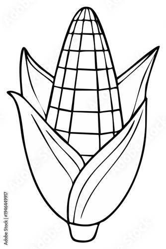 Single Ear of Corn in Husk Line Art Illustration