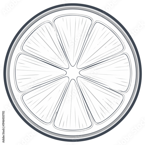 Black and white illustration of citrus fruit slice isolated on white