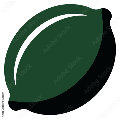 Single Green Lime Vector Illustration of Citrus Fruit with Black Shadow