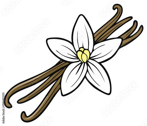 Vanilla beans with white flower cartoon illustration, aromatic spices and floral decoration for food and dessert themes