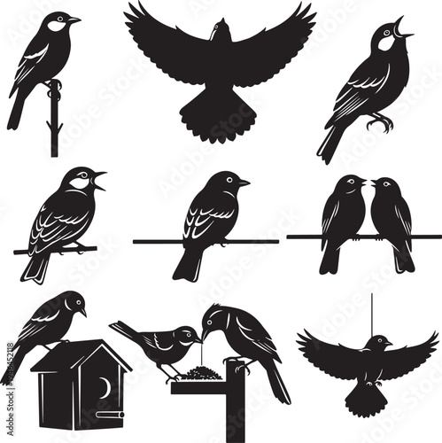 Set of 9 black bird silhouettes vector