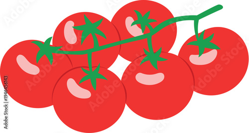 Hand drawn fresh vine tomato illustration