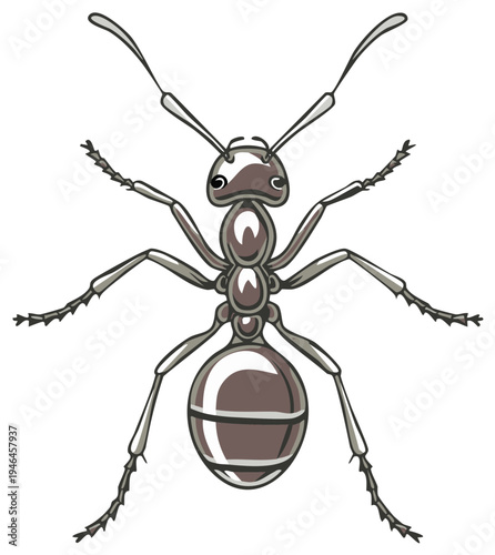 Cartoon ant illustration detailed top view with six legs and prominent antennae