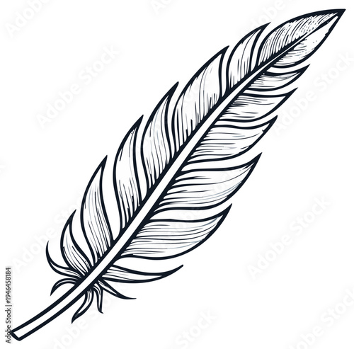 Detailed drawing of a feather illustration with artistic lines and design