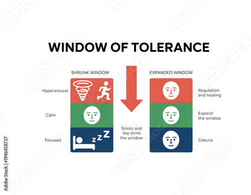 A vector graphic illustrating the concept of Window of Tolerance, showing a shrunk window and an expanded window with various emotional states on transparent background