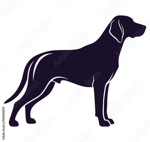 Black dog standing sideways profile view  isolated on white background