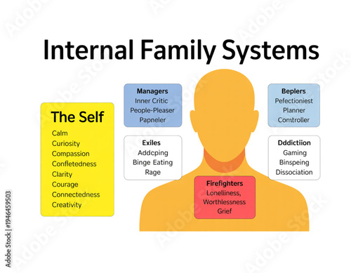 A vector graphic illustrating the Internal Family Systems model on a transparent background