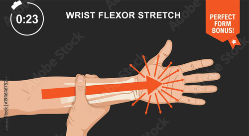 Wrist Flexor Stretch. Hand exercise. Rehabilitation. Anatomy illustration.