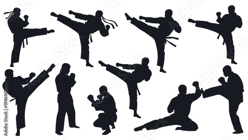 Collection of diverse martial arts practitioners in various dynamic kicking and fighting poses, depicted as powerful silhouettes, representing strength and discipline.