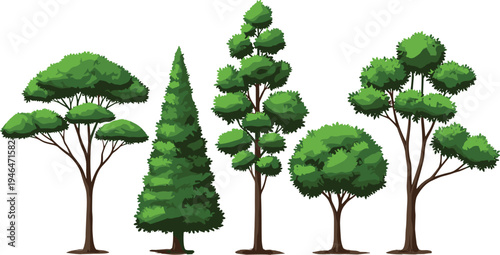 Collection of Green Trees with Different Shapes and Foliage for Forest Landscape, Nature Environment, and Outdoor Botanical Vector Illustration Set