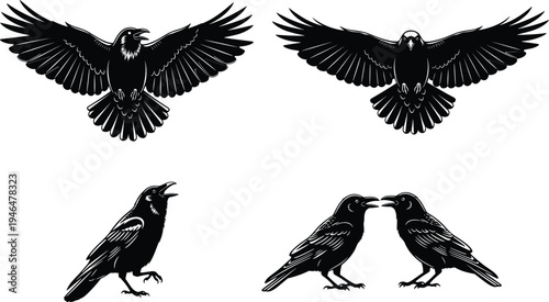 Black crow silhouettes set showing flying standing and calling ravens isolated vector illustration for wildlife design tattoo logo nature art
