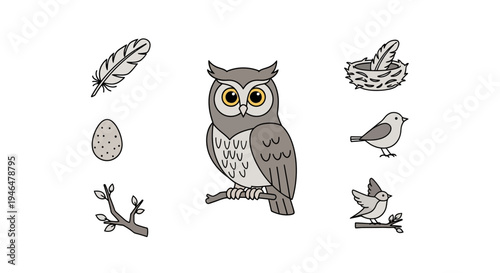 Owl Bird Sitting On A Branch.