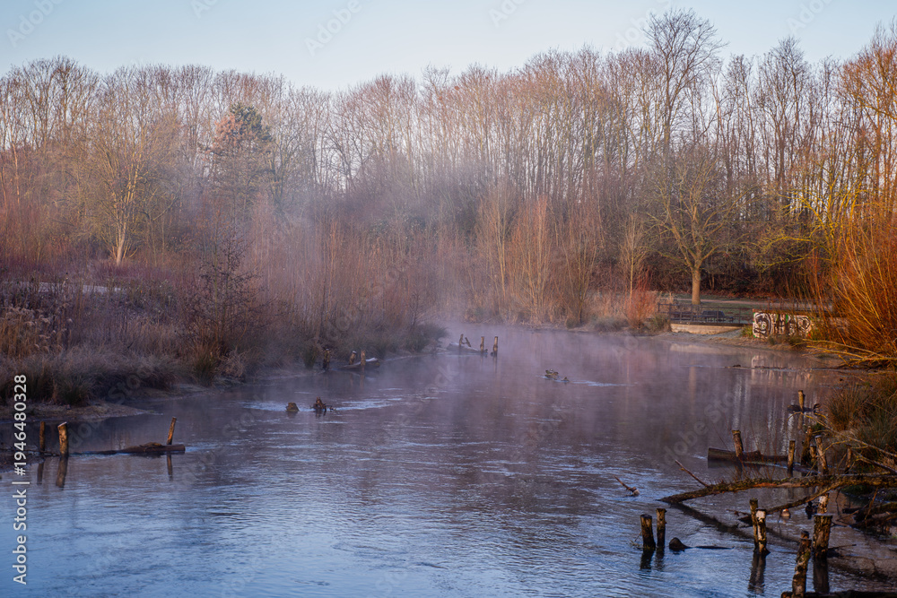 Fototapeta premium Der Morgen atmet noch den kühlen Schlaf des Winters, während über dem Wasser ein zarter Schleier aus flüssigem Silber tanzt. Die Bäume am Ufer, in ihr rötliches Vorfrühlings-Gewand gehüllt, stehen wie