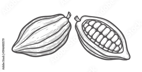 Two cocoa pods one whole and one halved revealing seeds fruit bean