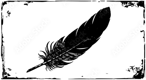 Feather black silhouette with quill and barbed end, on white background with grunge texture featuring illustration,