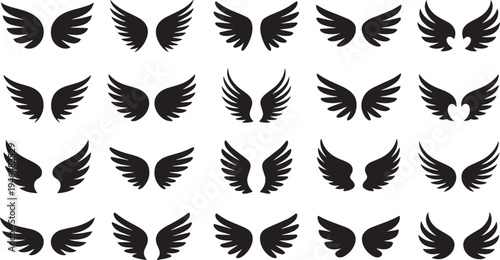 Collection of various bird wing silhouettes isolated on transparent background