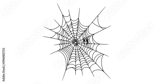Web spider with intricate black lines and radial symmetry on white background featuring illustration, graphic, design