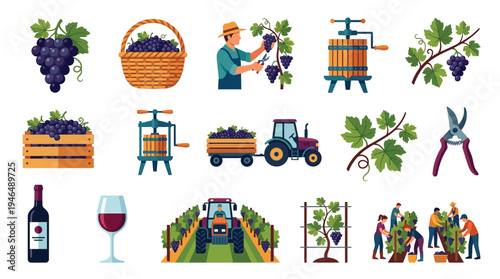 Collection of illustrations depicting various aspects of grape harvesting and winemaking, from vineyard cultivation to bottling.