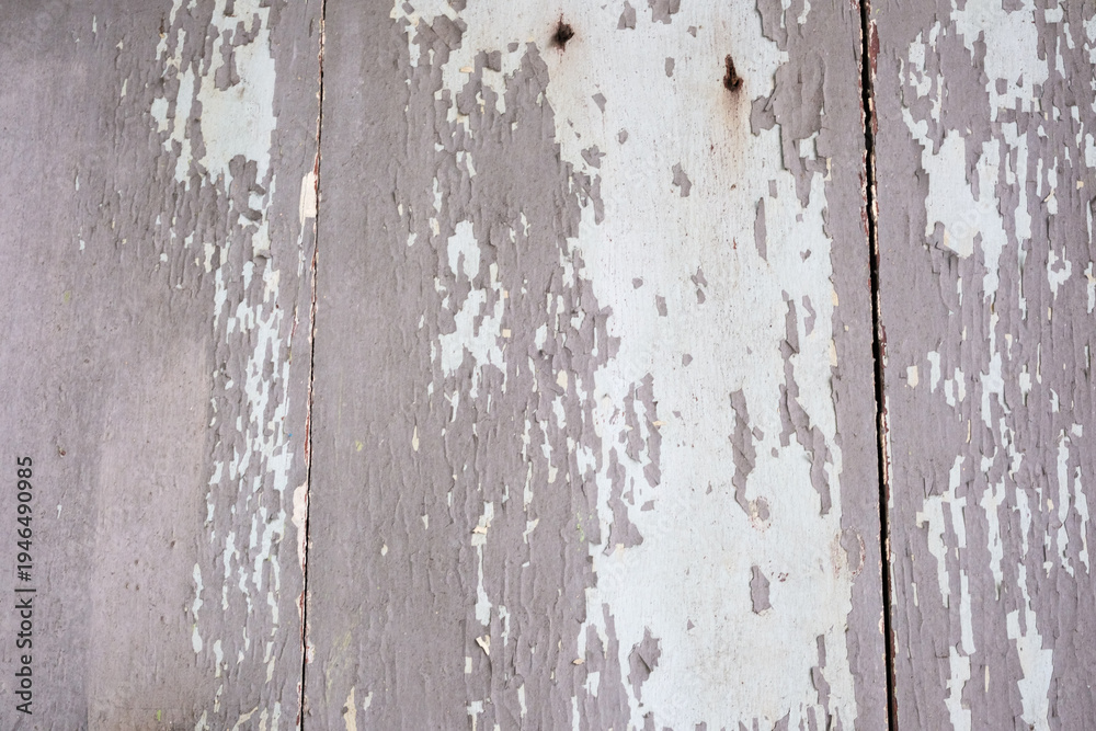 Fototapeta premium Distressed Peeling White Paint on Grey Wood Planks. Soft, flaky layers of white paint peel from sun-bleached grey timber.