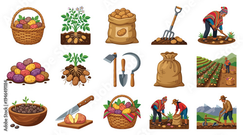 Collection of illustrations depicting various aspects of potato farming, harvesting, and preparation, from planting to storage and consumption.