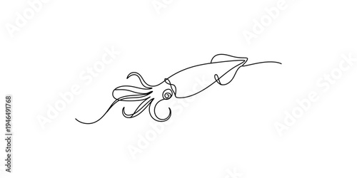 Continuous line drawing of a squid swimming through the ocean water creature seafood marine life