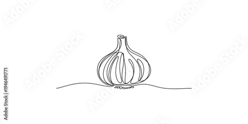 A continuous line drawing of a garlic bulb on a white background onion spice herb