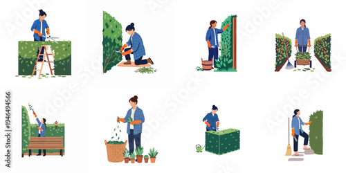 Collection of flat vector illustrations depicting a female gardener performing various hedge trimming and maintenance tasks in the backyard garden.