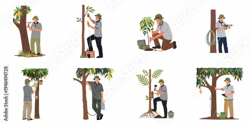 Set of illustrations featuring a tree specialist performing various maintenance tasks such as injection, drilling, spraying, and caring for mango trees.