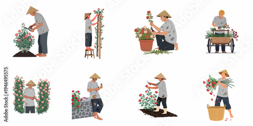 Set of gardeners in conical hats tending to rose bushes, pruning, harvesting, and arranging flowers in various poses on a white background.
