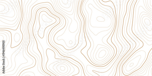 topographic line contour map background, geographic grid map, stock vector illustration. paper texture Imitation of a geographical map