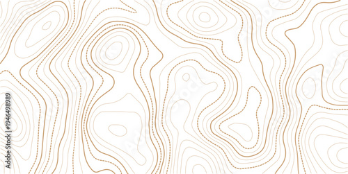 topographic line contour map background, geographic grid map, stock vector illustration. paper texture Imitation of a geographical map