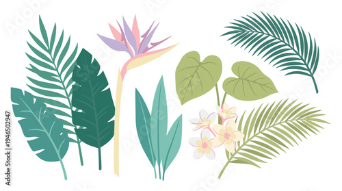 Collection of tropical plants and flowers vector illustration set