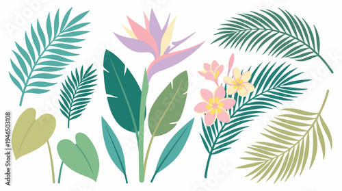 Flat design tropical plants and flowers isolated on white background