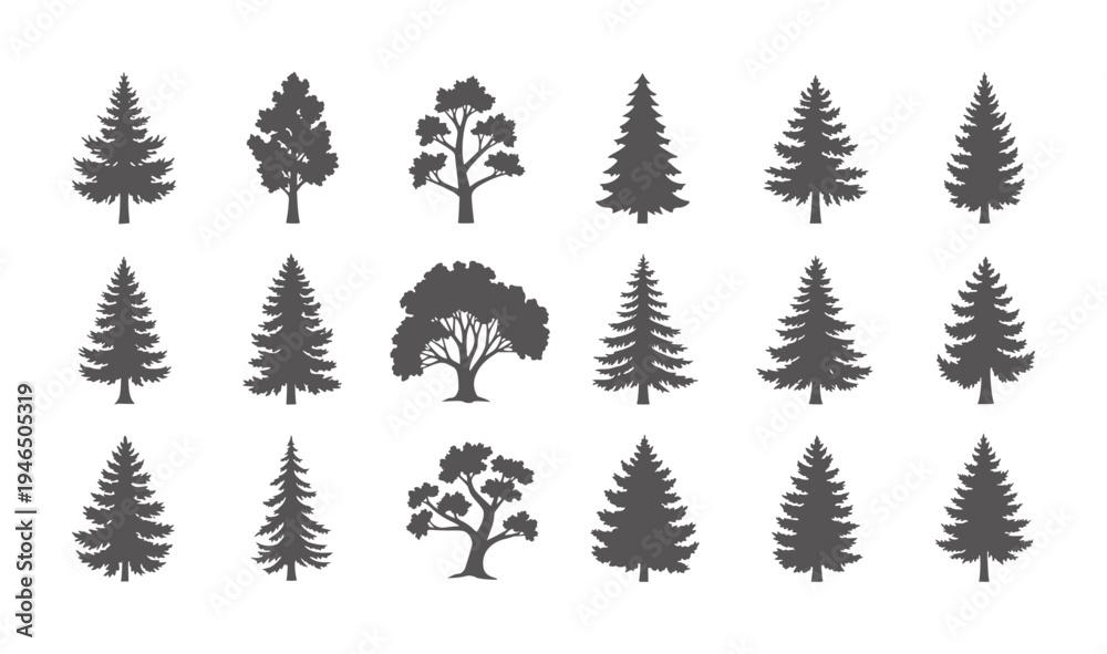 Fototapeta premium Collection of dark grey tree silhouettes white pine deciduous