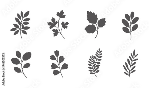Eight Dark Grey Silhouette Botanical Leaf Sprigs White