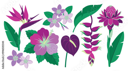 Exotic tropical flowers and leaves collection illustration set