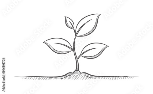 Hand drawn of a young plant growing from soil sprout seedling growth