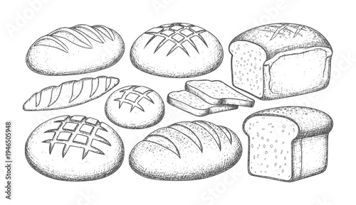 Hand drawn of various bread types white loaf baguette sliced round